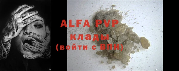 хмурый Белокуриха