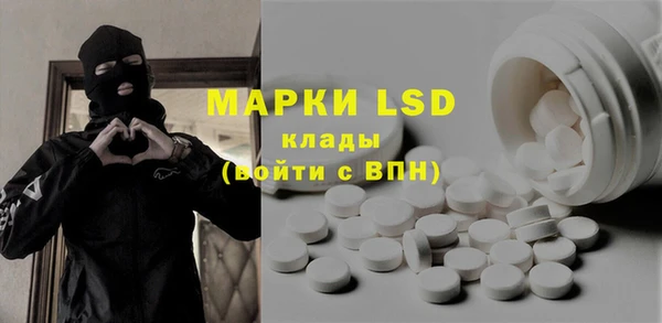 хмурый Белокуриха