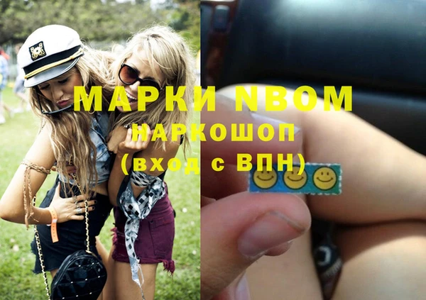 хмурый Белокуриха