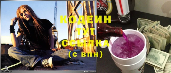 хмурый Белокуриха