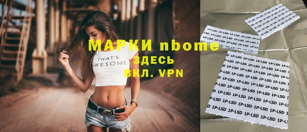 хмурый Белокуриха